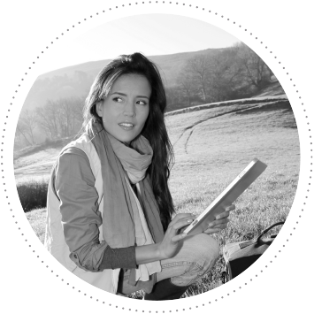 Management Software & B.I.